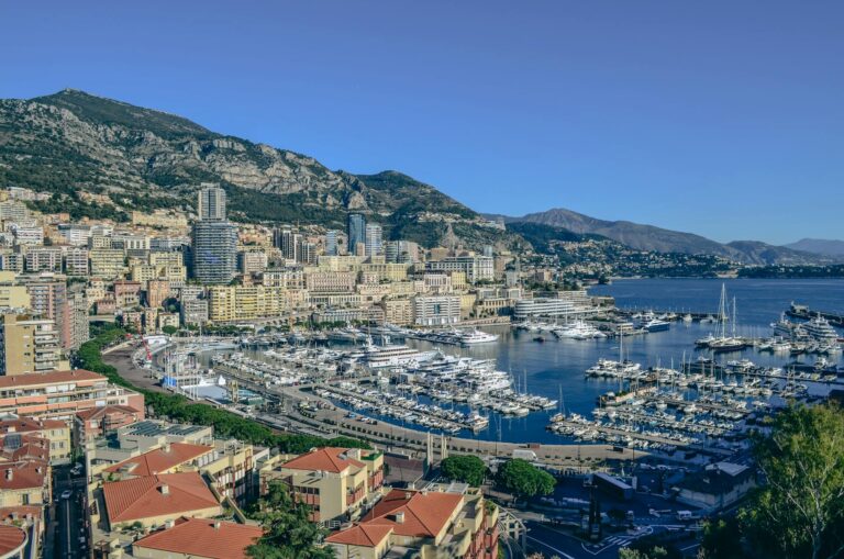 a city with many boats and a body of water - Monaco